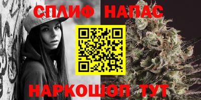 индика Нарткала