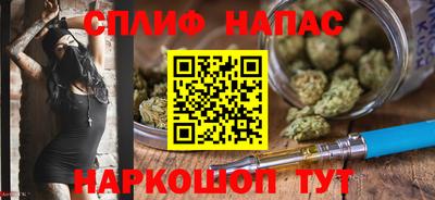 индика Нарткала