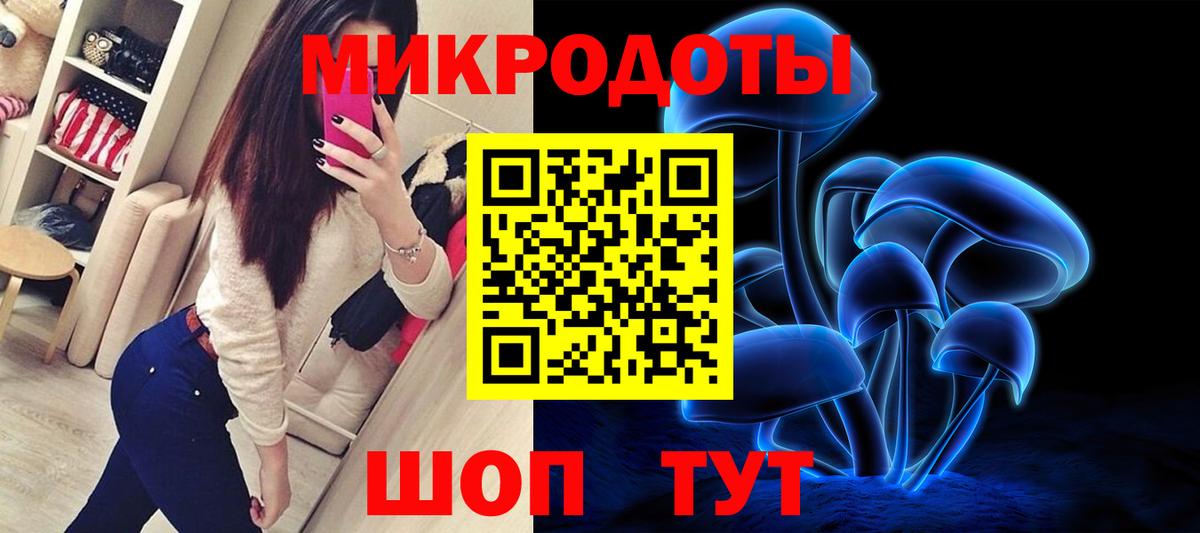 Северск  Галлюциногенные грибы Psilocybine cubensis  Вход с VPN  Псилоцибиновые грибы GOLDEN TEACHER 